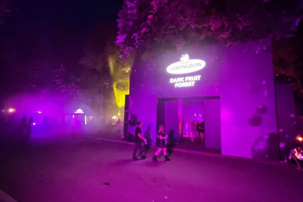 Activare Strongbow Dark Fruit Forest — imaginea 4